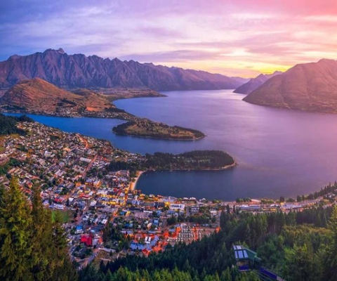 Học sinh Việt ở Harvard “mắc kẹt” pháp lý – New Zealand liệu có là giải pháp an toàn?