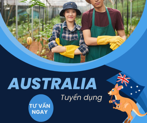 Tư Vấn Du Học Lâm Đồng 