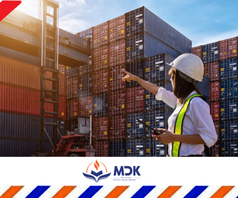 Tìm Kiếm Việc Làm Tại Đan Mạch: Cơ Hội Nghề Nghiệp Hấp Dẫn Năm 2025