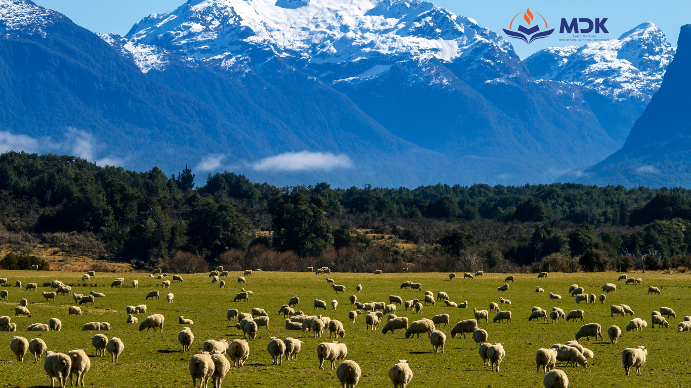 xin visa du lịch New Zealand 2025