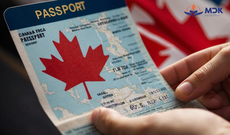 visa lao động tạm thời 
