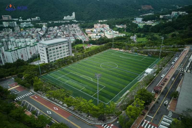 Du học Hàn Quốc Cao đẳng Gimhae - Sân bóng đã