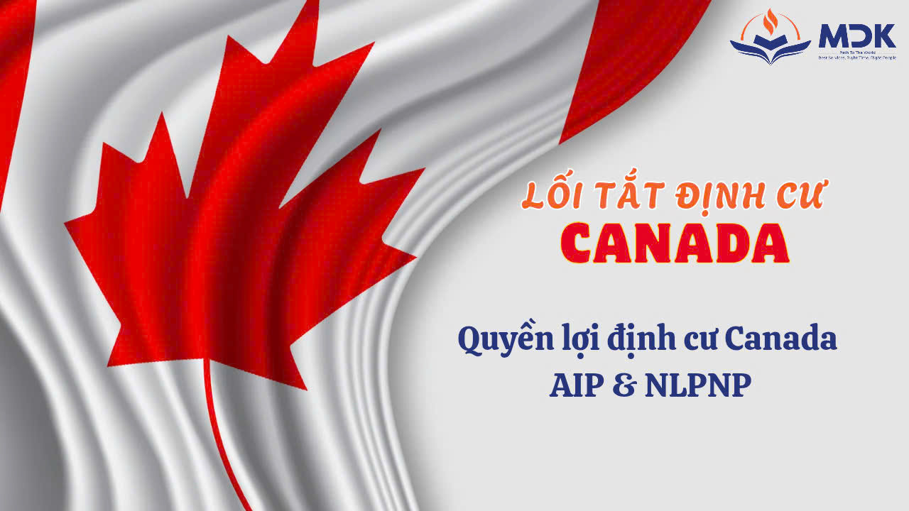 [P.4] Cả gia đình sẽ được hưởng những Quyền lợi gì khi Định Cư Canada chương trình AIP - NLPNP.